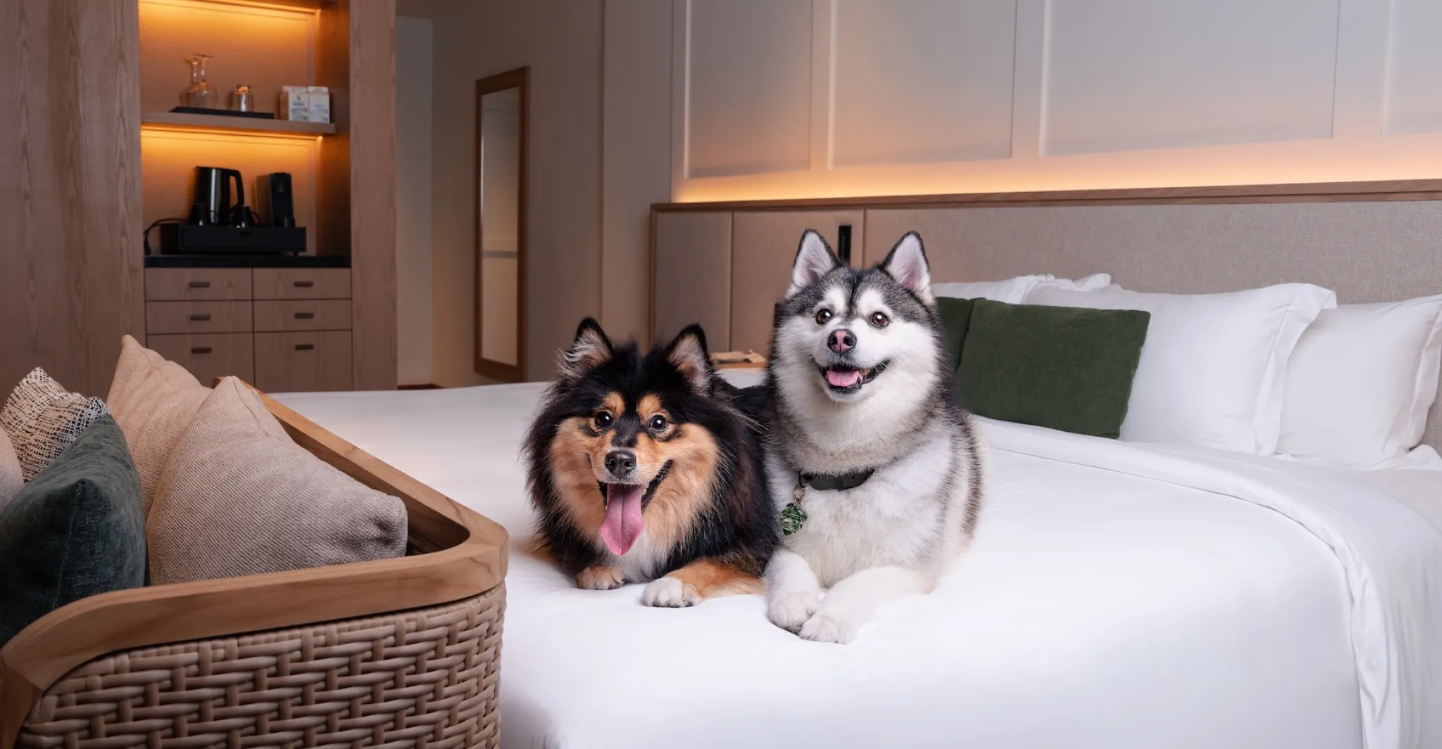 Pet friendly rooms & suites